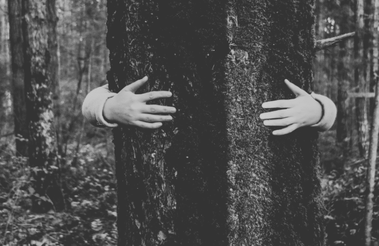 5 Reasons for you to become a Tree Hugger now